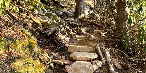 The Appalachian Trail: Click to visit page.