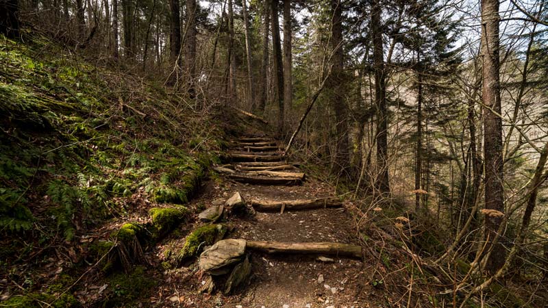 Appalachian Trail Smoky Mountains Segment
