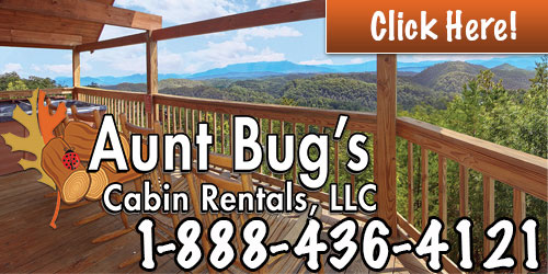 Aunt Bug's Cabin Rentals