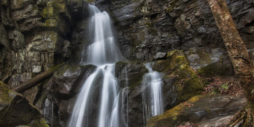 Hike To Baskins Creek Falls: Click to visit page.