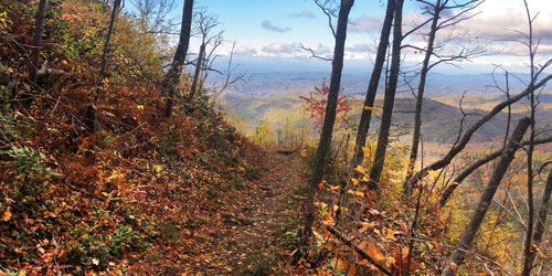 Bullhead Trail to Mt LeConte: Click to visit page.