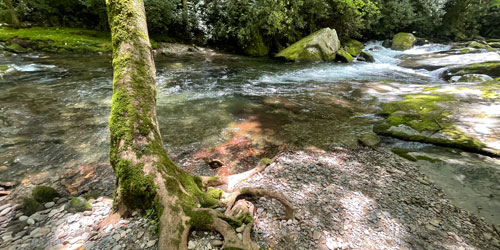 Big Creek Campground Big Creek Campground