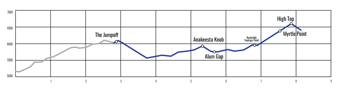 Boulevard Trail (Mt. LeConte) Elevation Profile