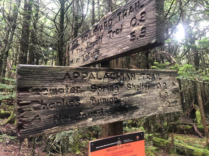 Charlies Bunion via Appalachian Trail