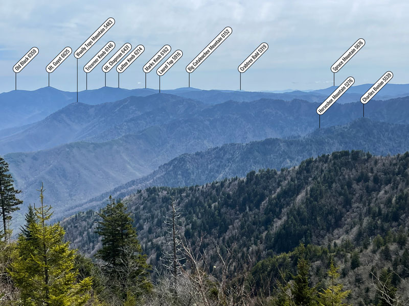 Peaks seen from the vantage point 0.5 m before Myrtle Point Boulevard Trail (Mt. LeConte)
