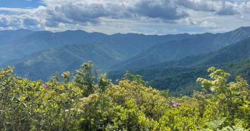 zipline tours gatlinburg