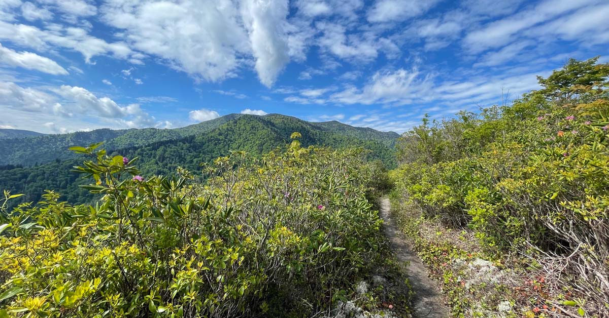 Brushy Mountain Trail (Mt. LeConte) Brushy Mountain Trail (Mt. LeConte)