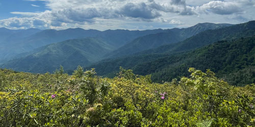 Brushy Mountain Trail: Click to visit page.