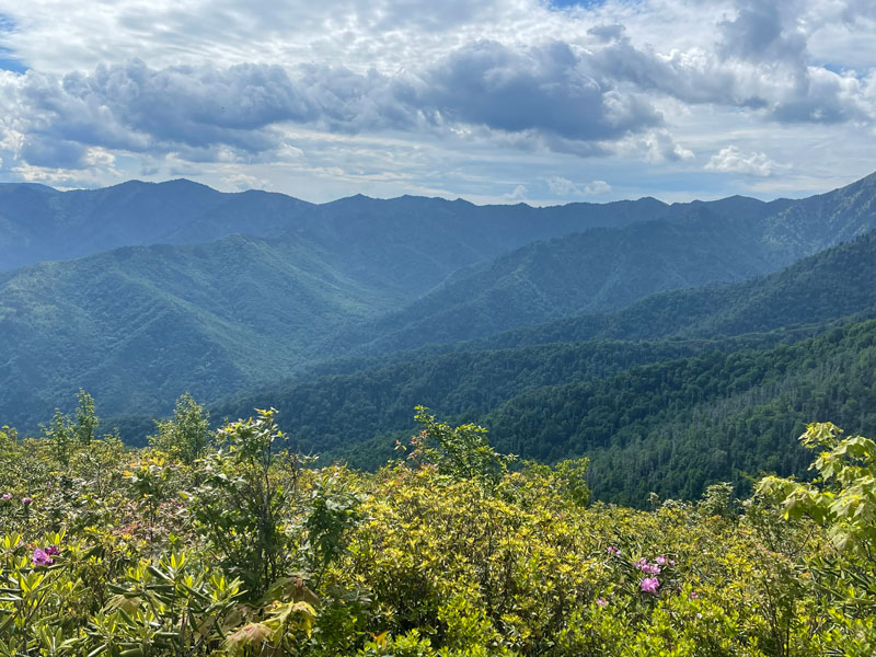 Views from Brushy Mountain summit Brushy Mountain Trail (Mt. LeConte)