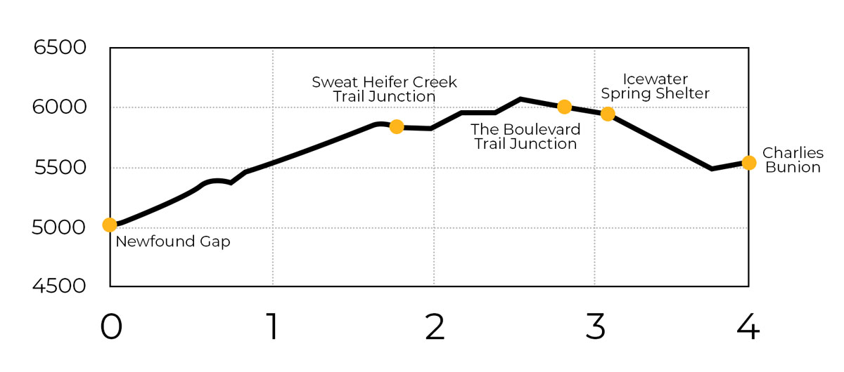 Charlies Bunion via Appalachian Trail Elevation Profile