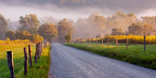 Cades Cove loop road