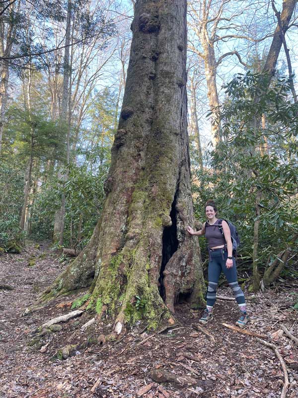 Albright Grove Loop Trail