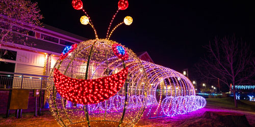 New Pigeon Forge Winterfest lights: Wonders Of Light Walking Trail New Pigeon Forge Winterfest lights: Wonders Of Light Walking Trail