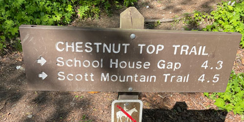 Chestnut Top Trail: Click to visit page.