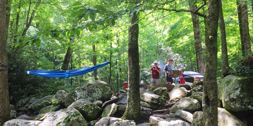 Top Picnic Areas In The Smokies: Click to visit page.