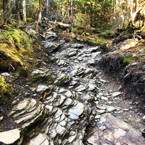 The 0.2 mile trail to the summit is brutal The 0.2 mile trail to the summit is brutal