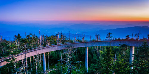 Clingman's Dome: Click to visit page.
