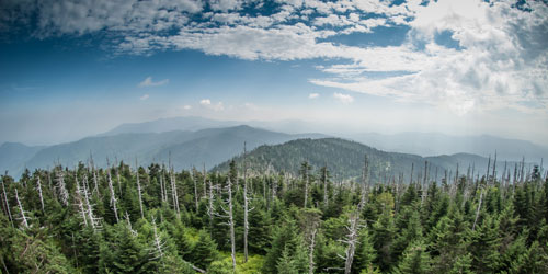 cloudy view from Clingmans Dome cloudy view from Clingmans Dome