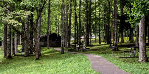 Cosby picnic area