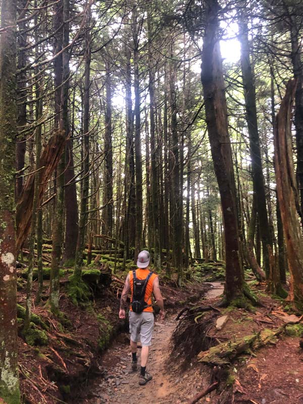 Charlies Bunion via Appalachian Trail