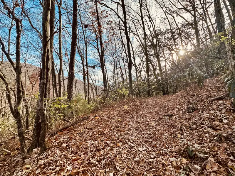 Curry Mountain Trail
