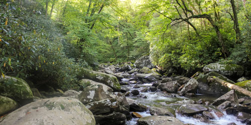 Frontcountry Campgrounds in the Smokies: Click to visit page.