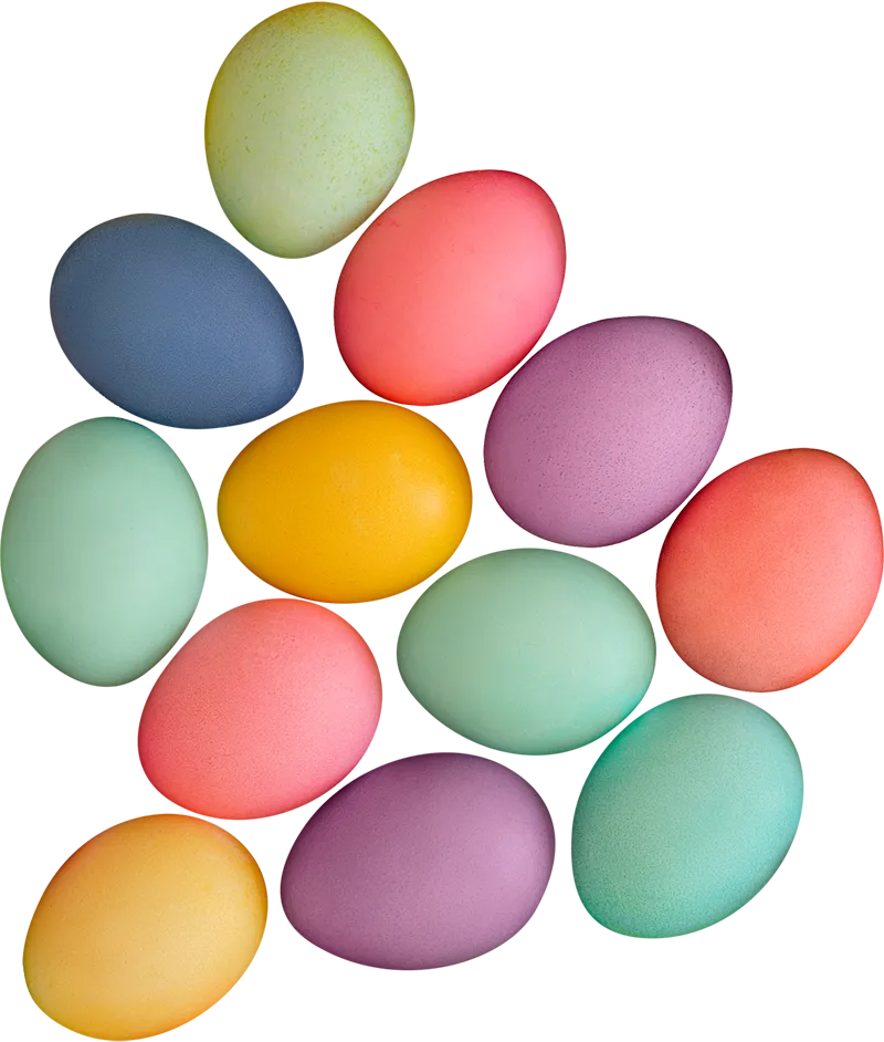 colorful eggs