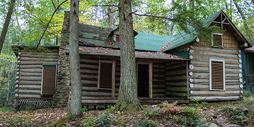 Elkmont Nature Trail: Click to visit page. Elkmont Nature Trail: Click to visit page.