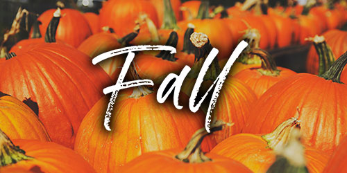 fall planning guide