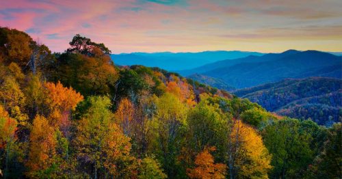 pink jeep tour in gatlinburg