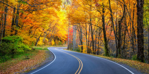 Scenic Drives: Click to visit page.