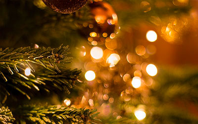 Gatlinburg’s Festival of Trees: Click for event info.