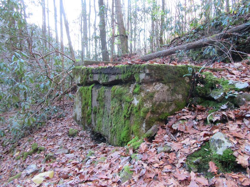 Kephart Prong Trail