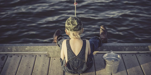 Buy A Fishing License: Click to visit page.