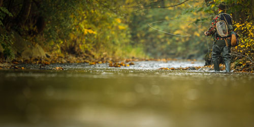 Things To Do In Smoky Mountains Things To Do In Smoky Mountains