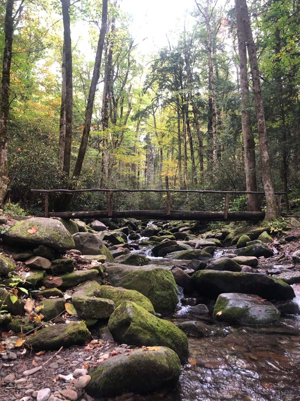 A footbridge on the early part of Low Gap Mt. Cammerer Trail via Low Gap + AT