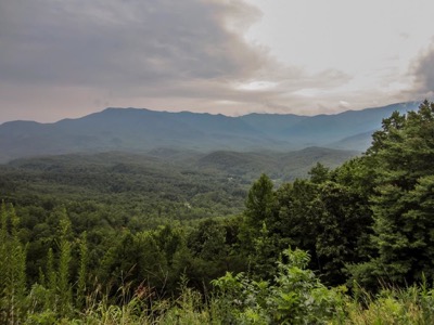 View of Foothills Parkway East Overlook #3