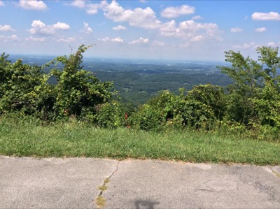 View of Foothills Parkway West Overlook #7