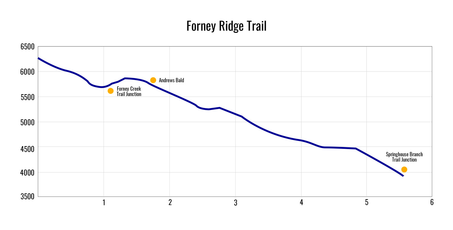 Andrews Bald via Forney Ridge Trail