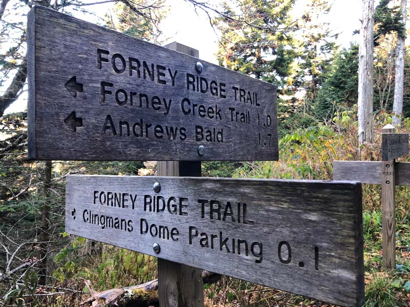 Just near the trailhead at Clingmans Dome Forney Ridge Trail