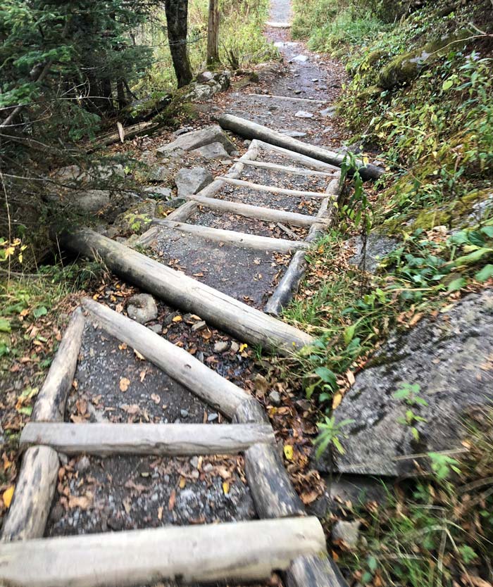 Lots of steps like this coming down from the trailhead Andrews Bald via Forney Ridge Trail