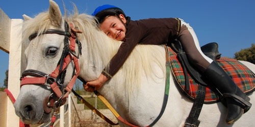 Horseback Riding In The Smoky Mountains: Click to visit page.