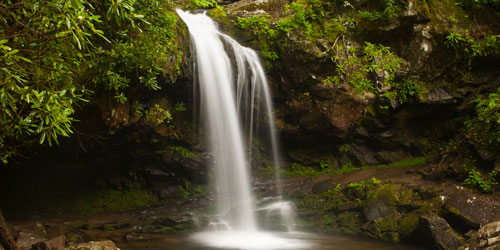 Trillium Gap Trail to Grotto Falls: Click to visit page.