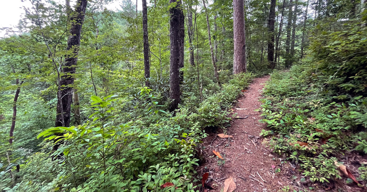 Hannah Mountain Trail Hannah Mountain Trail