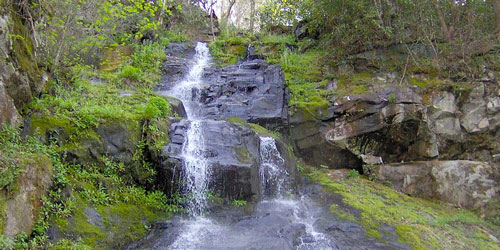 Hen Wallow Falls via Gabes Mountain Trail: Click to visit page.