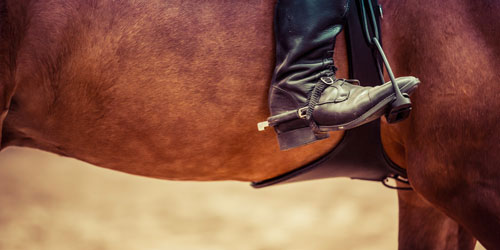 Horseback Riding: Click to visit page.