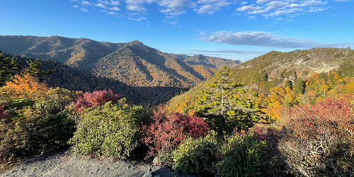 Inspiration Point heath bald Inspiration Point heath bald