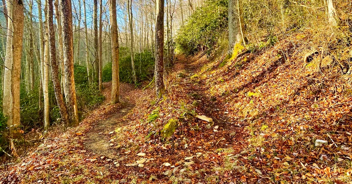 Jakes Creek Trail Jakes Creek Trail