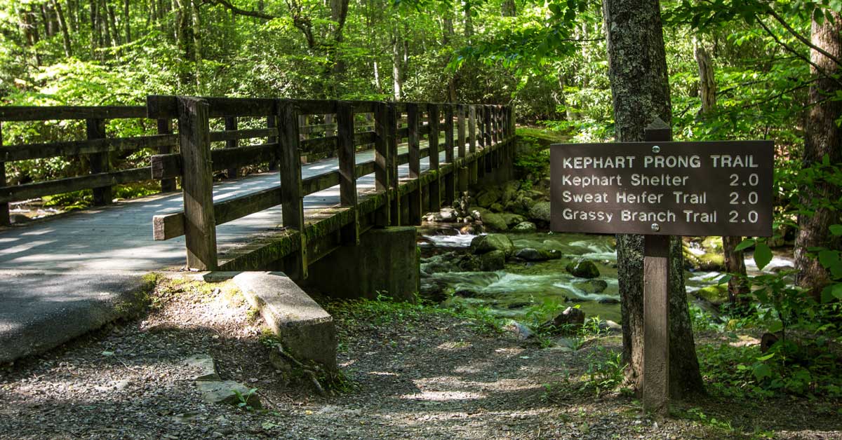 Kephart Prong Trail Kephart Prong Trail