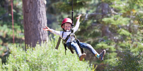Zipline Tours in the Smoky Mountains: Click to visit page.